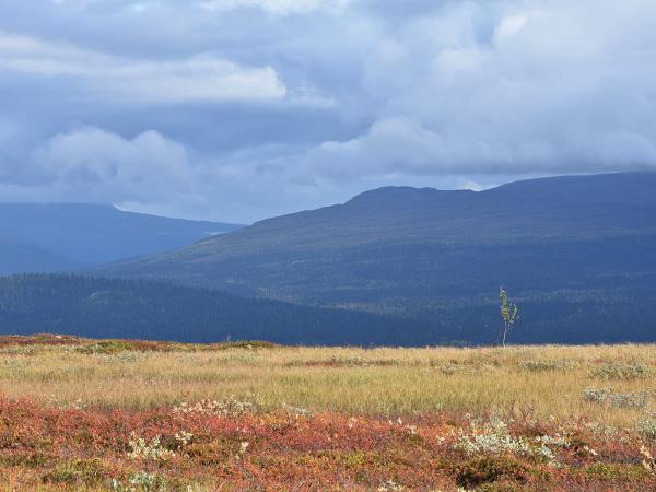 Autumn in Lapland hiking vacation, small group