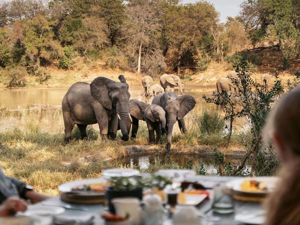 South Africa safari and Mauritius beach vacation