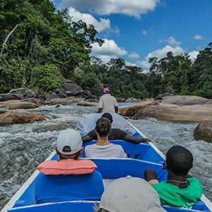 Best time to visit Suriname