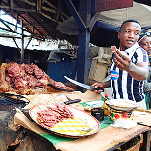 Southern Africa Bushmeat & skins