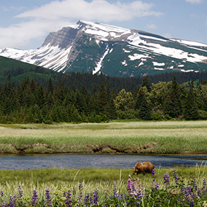 Denali National Park in Alaska