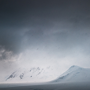 Best time to cruise to Antarctica & Falklands