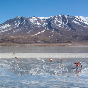 Bolivia travel guide