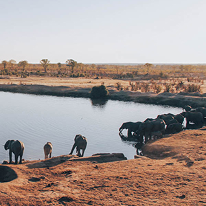Botswana & Zimbabwe travel guide 