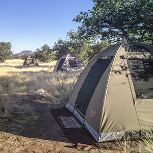 Best bush camp safaris map & highlights