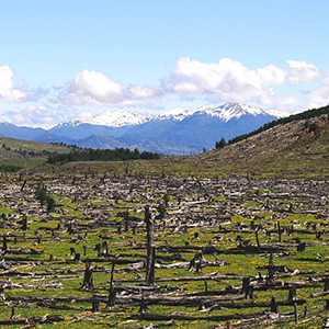 Responsible tourism in Chile