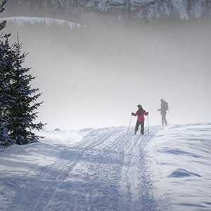 Cross country skiing in Norway