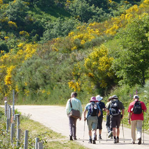 Budget Camino de Santiago