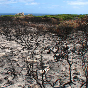 Responsible tourism on Kangaroo Island