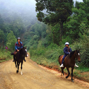 Different types of family volunteer travel abroad