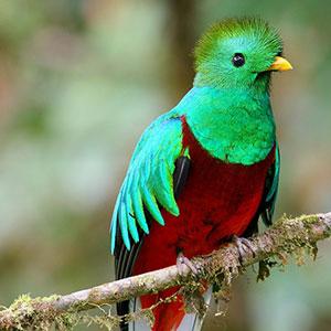 Costa Rica travel guide