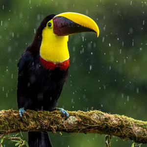 Costa Rica travel advice