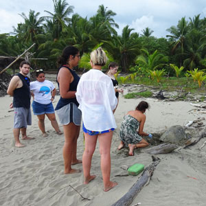 Volunteering in Costa Rica