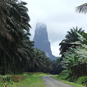 São Tomé and Príncipe wildlife