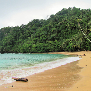 São Tomé and Príncipe wildlife