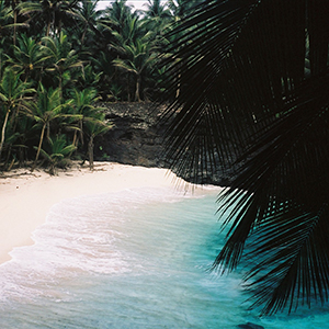 São Tomé and Príncipe wildlife