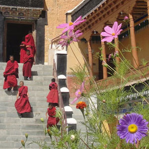 Best time to visit Ladakh