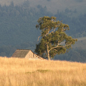 Best time to visit the Carpathian Mountains
