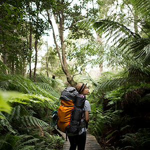 Victoria travel guide 