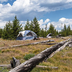 Camping holidays in Yellowstone