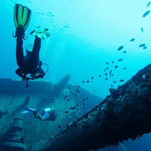 Different types of diving courses