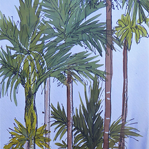 Painting holidays in Sri Lanka