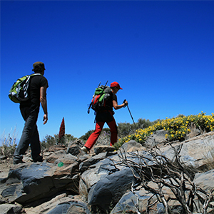 Walking in the Canary Islands