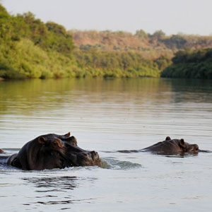 Senegal travel guide