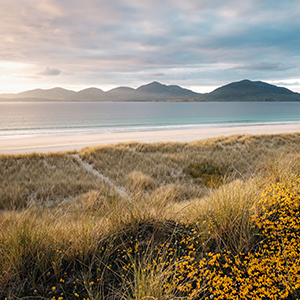 Where to go on a Scotland special interest holiday