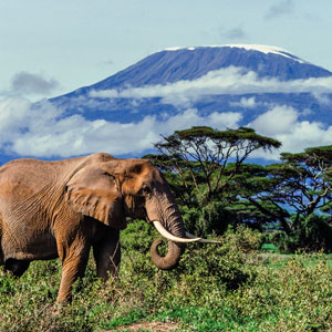 First time travellers to Kenya
