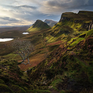 When to go on a Scotland rail tour