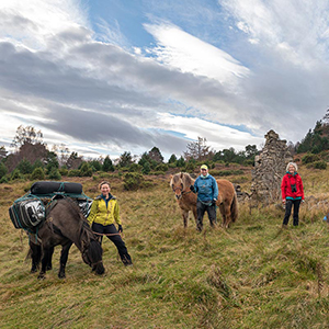 Cairngorms walking routes & ideas