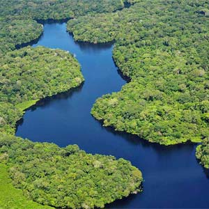 Best time to go on a rainforest holiday