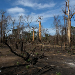 Responsible tourism in Madagascar