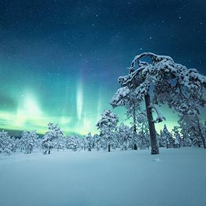 Where to go on a wilderness holiday