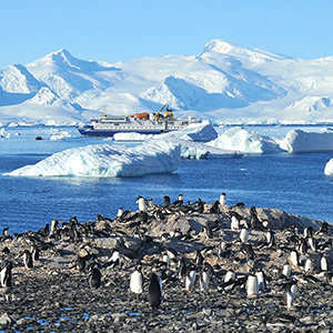 Where to go in Antarctica