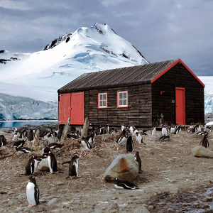 Life in Antarctica