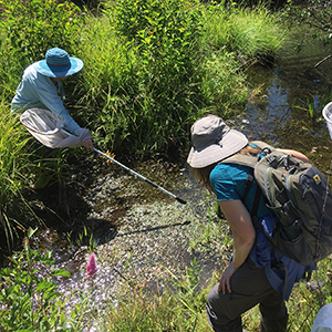 Responsible tourism in the wilderness