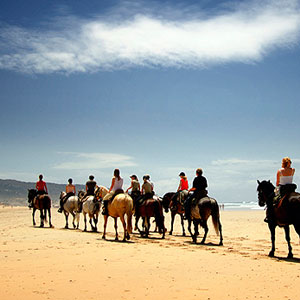 Where to go on a land based activity holiday