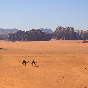 Petra & Wadi Rum