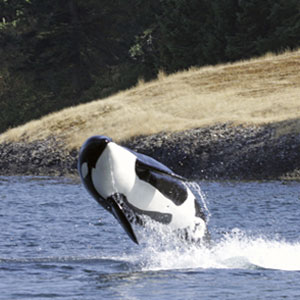 British Columbia travel guide