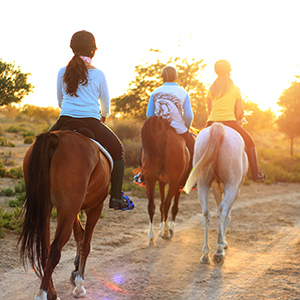 Family multi activity holidays in Spain