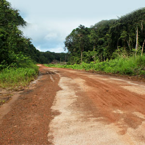 Best time to go to Gabon