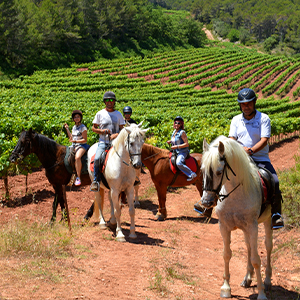 Multi activity holidays in Catalonia