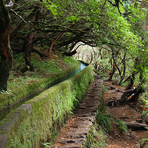 Top 10 alternative holidays in Portugal