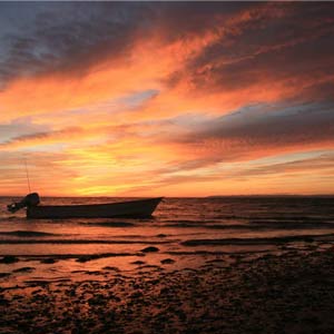 Best time to visit Baja California