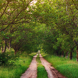 Best time to visit Moldova