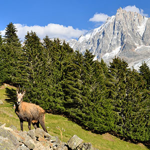 Best time to go to Mont Blanc