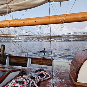 Norwegian fjords cruises