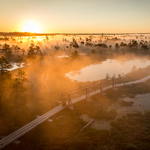 Baltic national parks